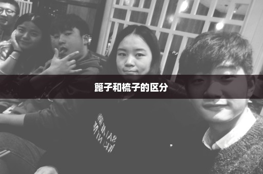 篦子和梳子的区分