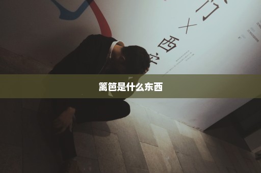 篱笆是什么东西