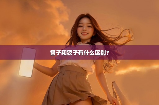簪子和钗子有什么区别？