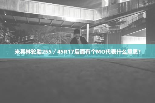 米其林轮胎255／45R17后面有个MO代表什么意思?