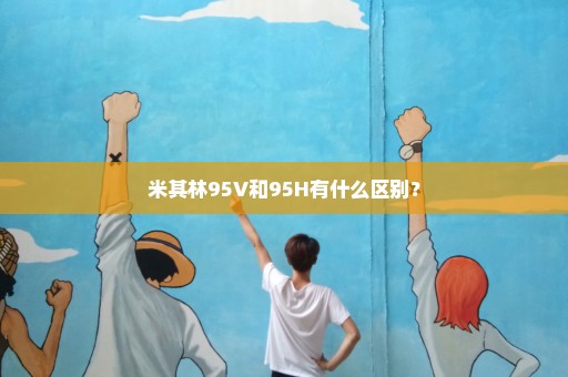 米其林95V和95H有什么区别？