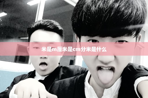 米是m厘米是cm分米是什么