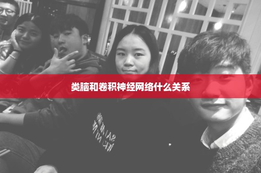 类脑和卷积神经网络什么关系