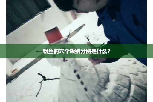 粉丝的六个级别分别是什么？