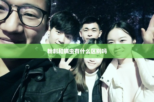 粉刺和螨虫有什么区别吗
