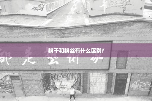 粉干和粉丝有什么区别?
