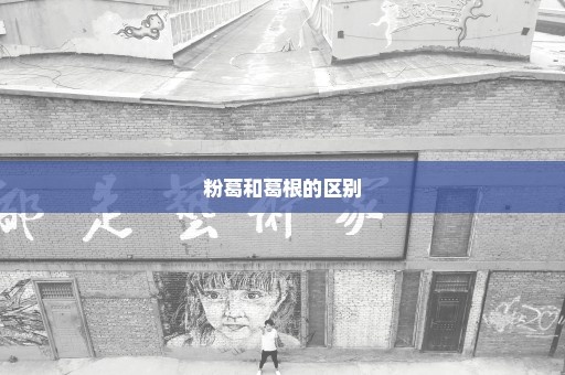粉葛和葛根的区别