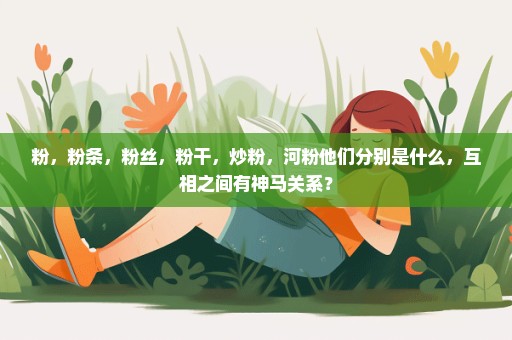 粉，粉条，粉丝，粉干，炒粉，河粉他们分别是什么，互相之间有神马关系？