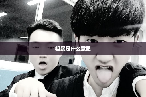 粗暴是什么意思