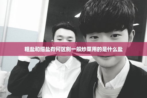 粗盐和细盐有何区别一般炒菜用的是什么盐