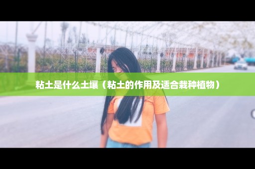 粘土是什么土壤（粘土的作用及适合栽种植物）