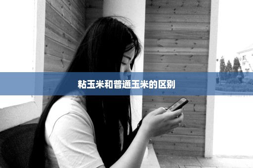 粘玉米和普通玉米的区别