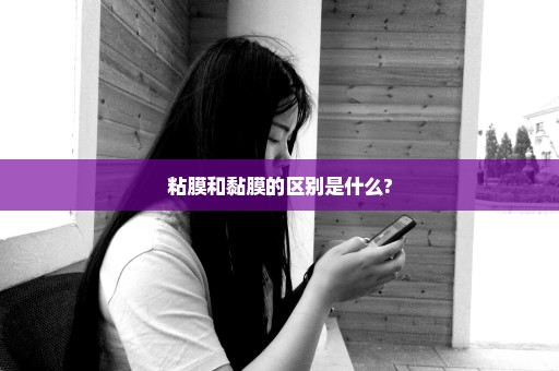 粘膜和黏膜的区别是什么?