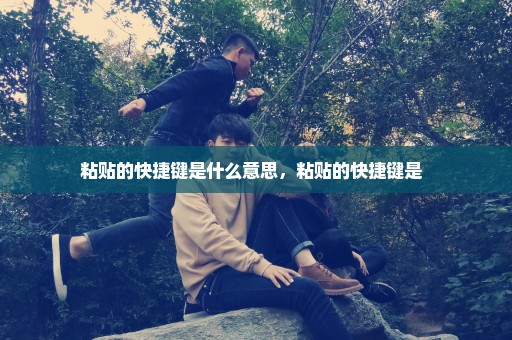 粘贴的快捷键是什么意思，粘贴的快捷键是  