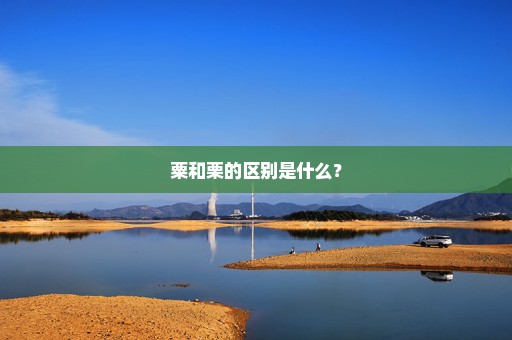 粟和栗的区别是什么？