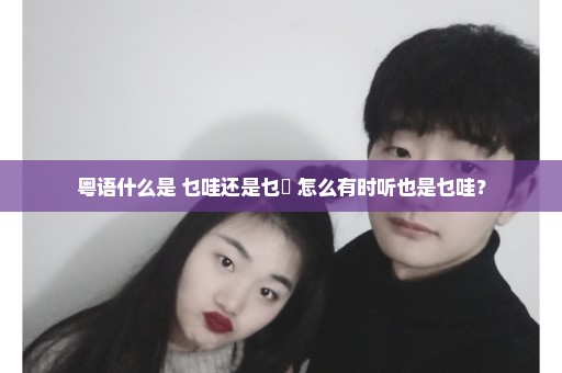 粤语什么是 乜哇还是乜嘢 怎么有时听也是乜哇？