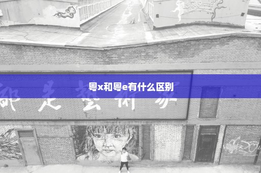 粤x和粤e有什么区别