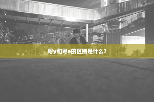 粤y和粤e的区别是什么？