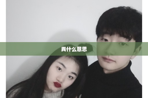 粪什么意思