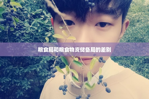 粮食局和粮食物资储备局的差别