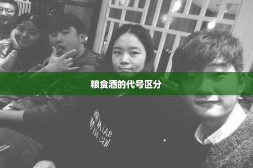 粮食酒的代号区分