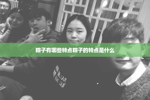粽子有哪些特点粽子的特点是什么