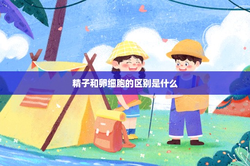 精子和卵细胞的区别是什么