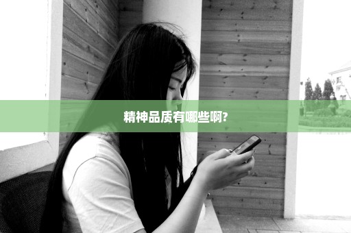 精神品质有哪些啊?