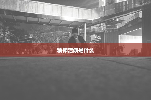 精神洁癖是什么