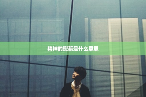 精神的慰籍是什么意思