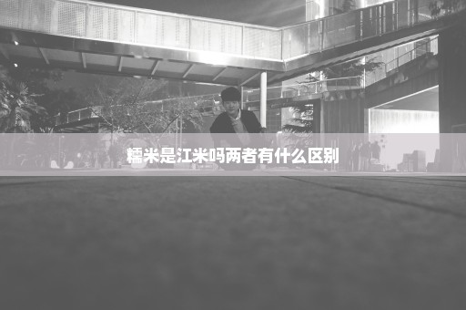 糯米是江米吗两者有什么区别