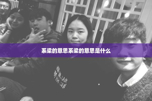 系梁的意思系梁的意思是什么