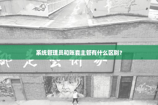 系统管理员和账套主管有什么区别？