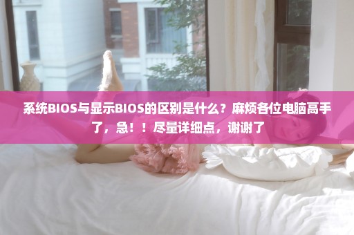 系统BIOS与显示BIOS的区别是什么？麻烦各位电脑高手了，急！！尽量详细点，谢谢了