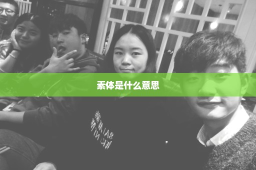 素体是什么意思