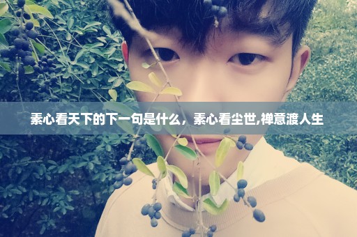 素心看天下的下一句是什么，素心看尘世,禅意渡人生 