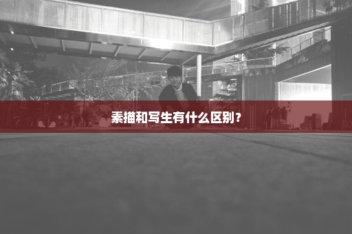 素描和写生有什么区别？