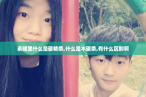 素描里什么是碳精条,什么是木碳条,有什么区别啊