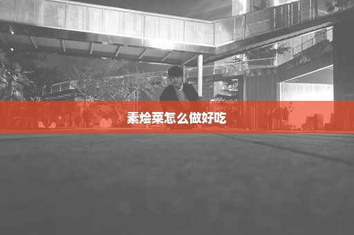 素烩菜怎么做好吃
