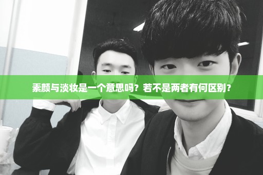 素颜与淡妆是一个意思吗？若不是两者有何区别？