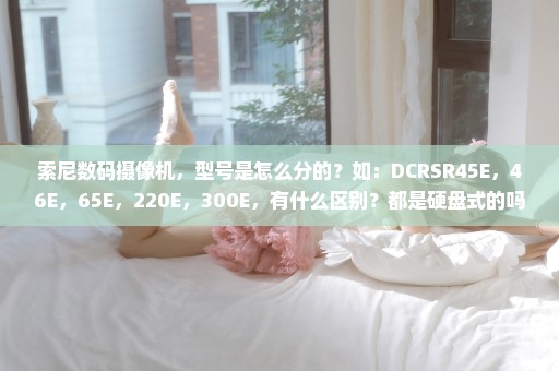 索尼数码摄像机，型号是怎么分的？如：DCRSR45E，46E，65E，220E，300E，有什么区别？都是硬盘式的吗？