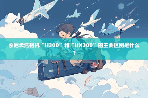 索尼长焦相机“H300”和“HX300”的主要区别是什么？