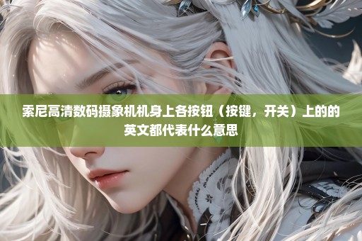 索尼高清数码摄象机机身上各按钮（按键，开关）上的的英文都代表什么意思