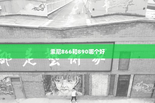 索尼866和890哪个好