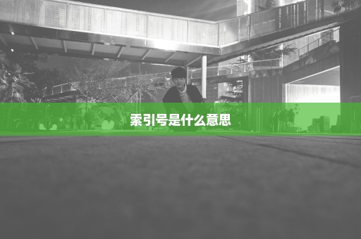 索引号是什么意思
