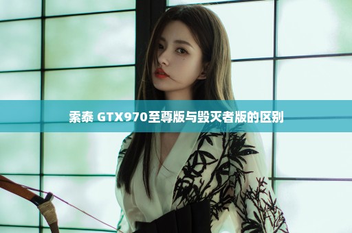 索泰 GTX970至尊版与毁灭者版的区别