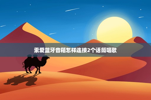 索爱蓝牙音箱怎样连接2个话筒唱歌