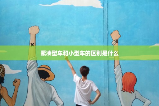 紧凑型车和小型车的区别是什么