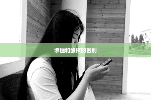 紫檀和酸枝的区别