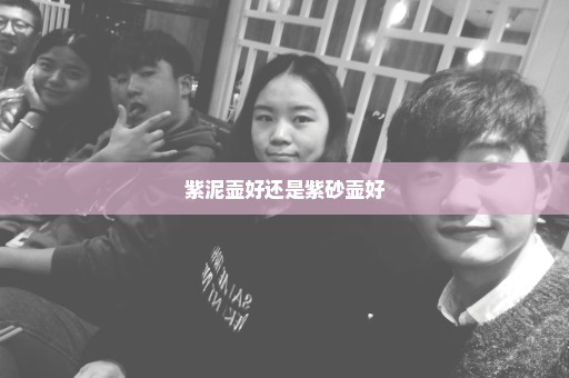 紫泥壶好还是紫砂壶好
